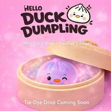 Hello Duck Mini Dumpling