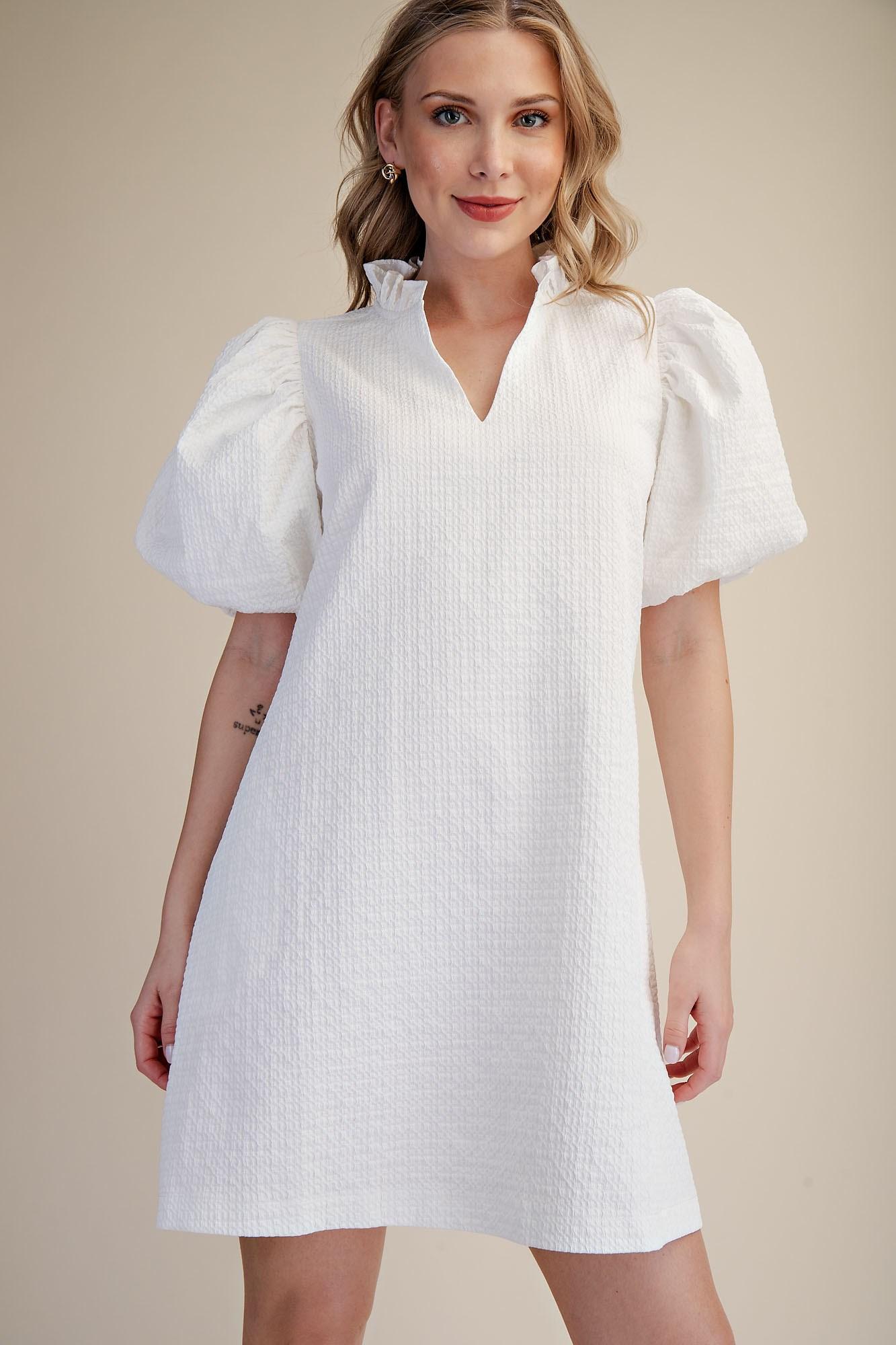 Textured Fabric Ruffle V-Neck Puff Sleeve Mini Dress