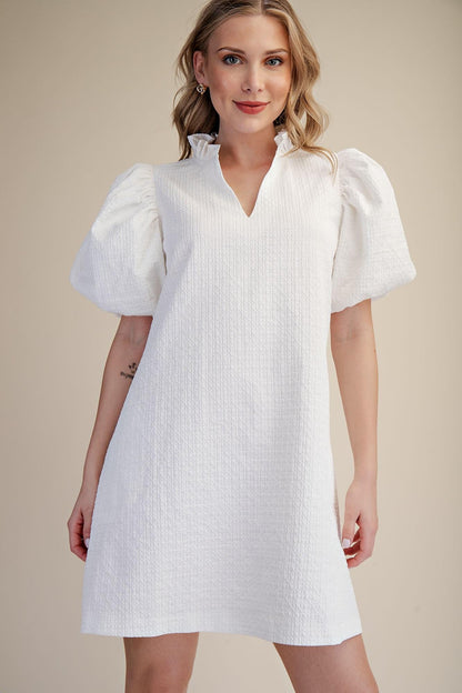 Textured Fabric Ruffle V-Neck Puff Sleeve Mini Dress