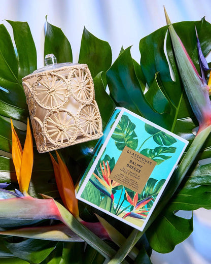 Balmy Breeze - 13.4 oz Soy Candle