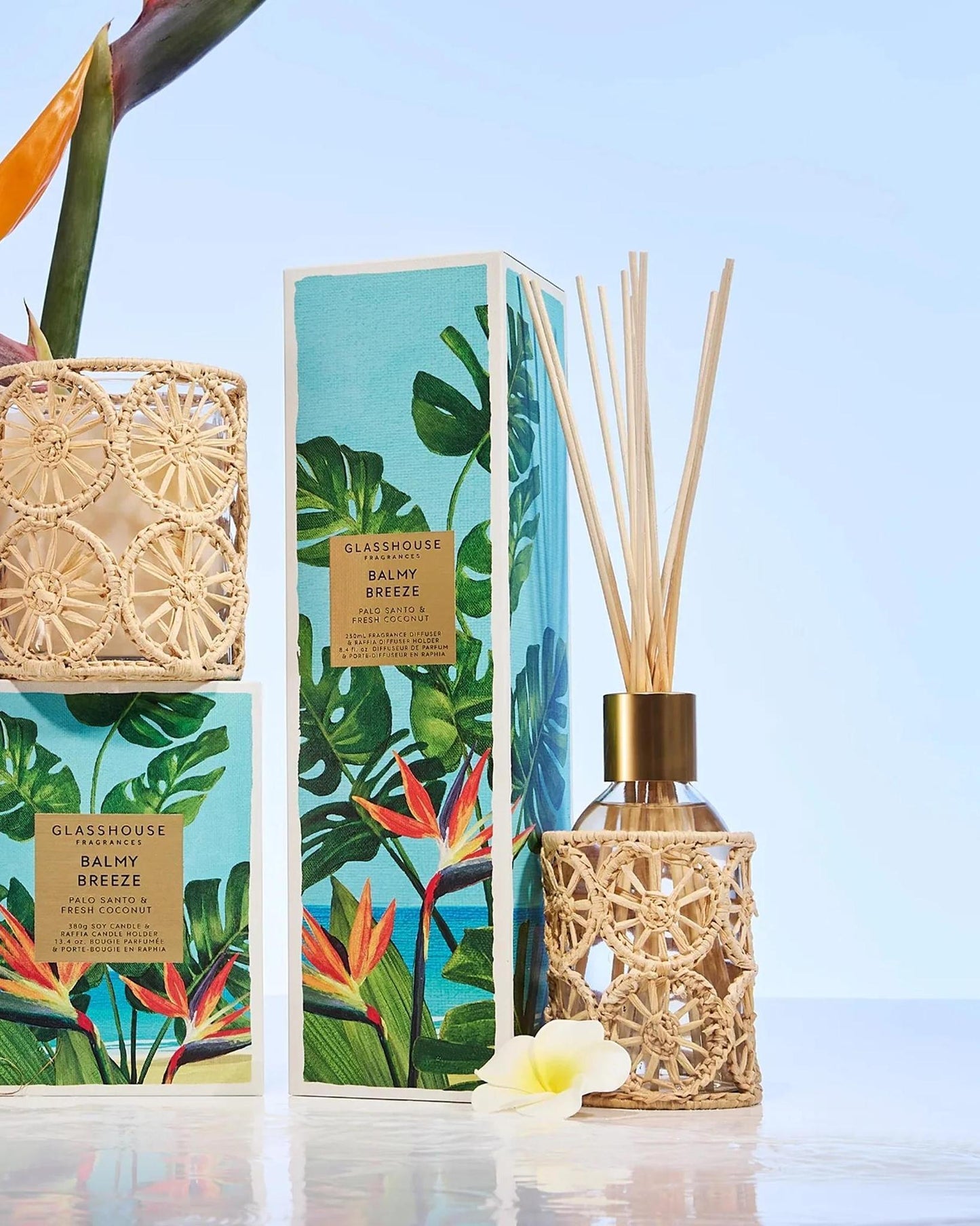 Balmy Breeze - 8.4 fl oz Diffuser