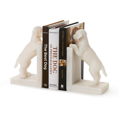 Playful Puppy Dog Book End