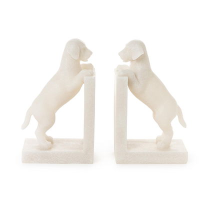Playful Puppy Dog Book End