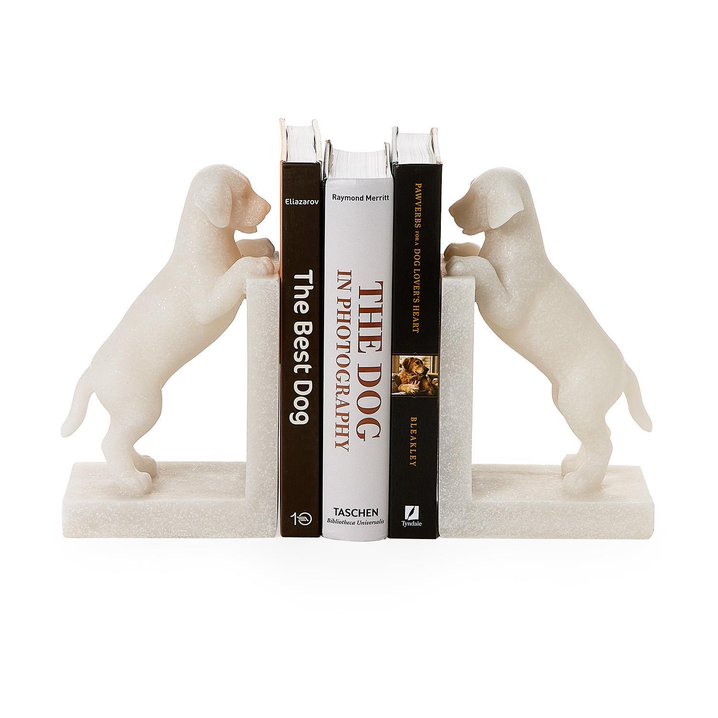 Playful Puppy Dog Book End
