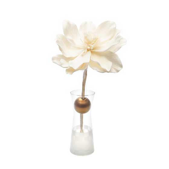 Ornamental Diffuser