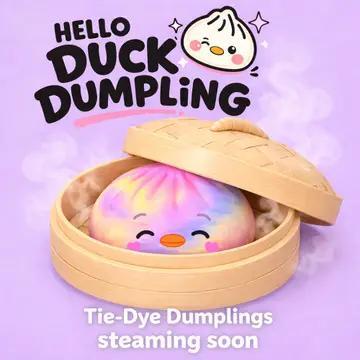 Hello Duck Dumpling