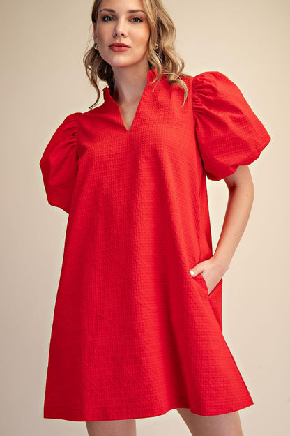 Textured Fabric Ruffle V-Neck Puff Sleeve Mini Dress