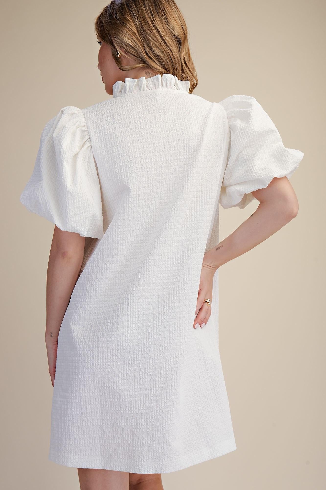 Textured Fabric Ruffle V-Neck Puff Sleeve Mini Dress