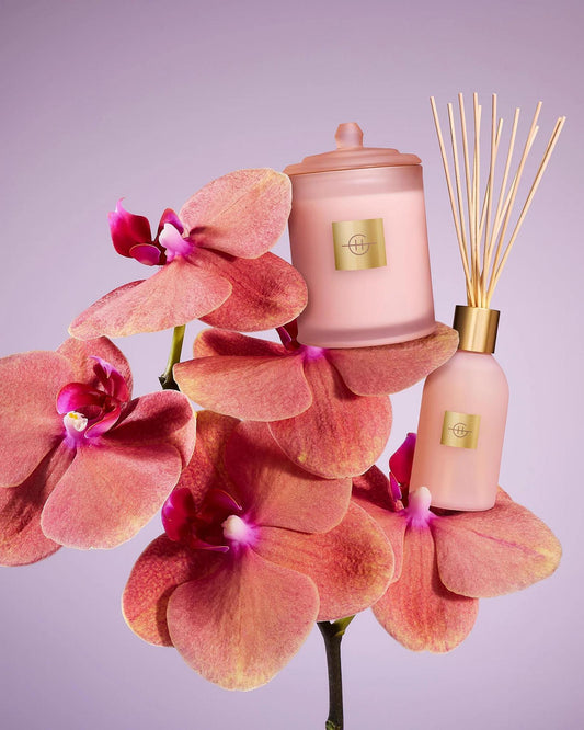 Radiance In Bloom - 8.4 fl oz Fragrance Diffuser