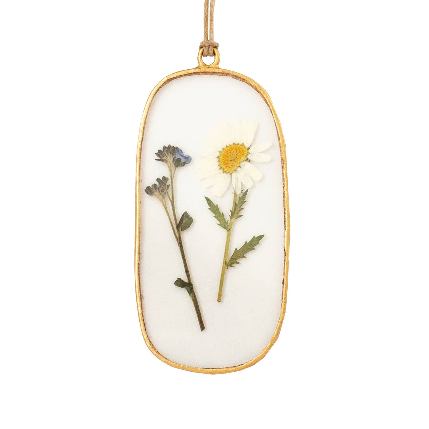 Daisy Squoval Pressed Floral Pendant